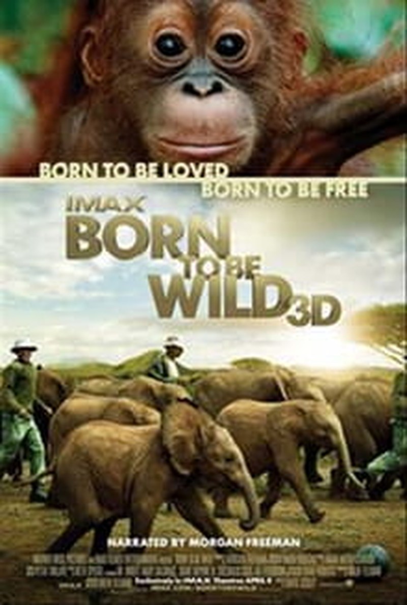 Love Takes Center Stage in <i>Born to Be Wild</i>