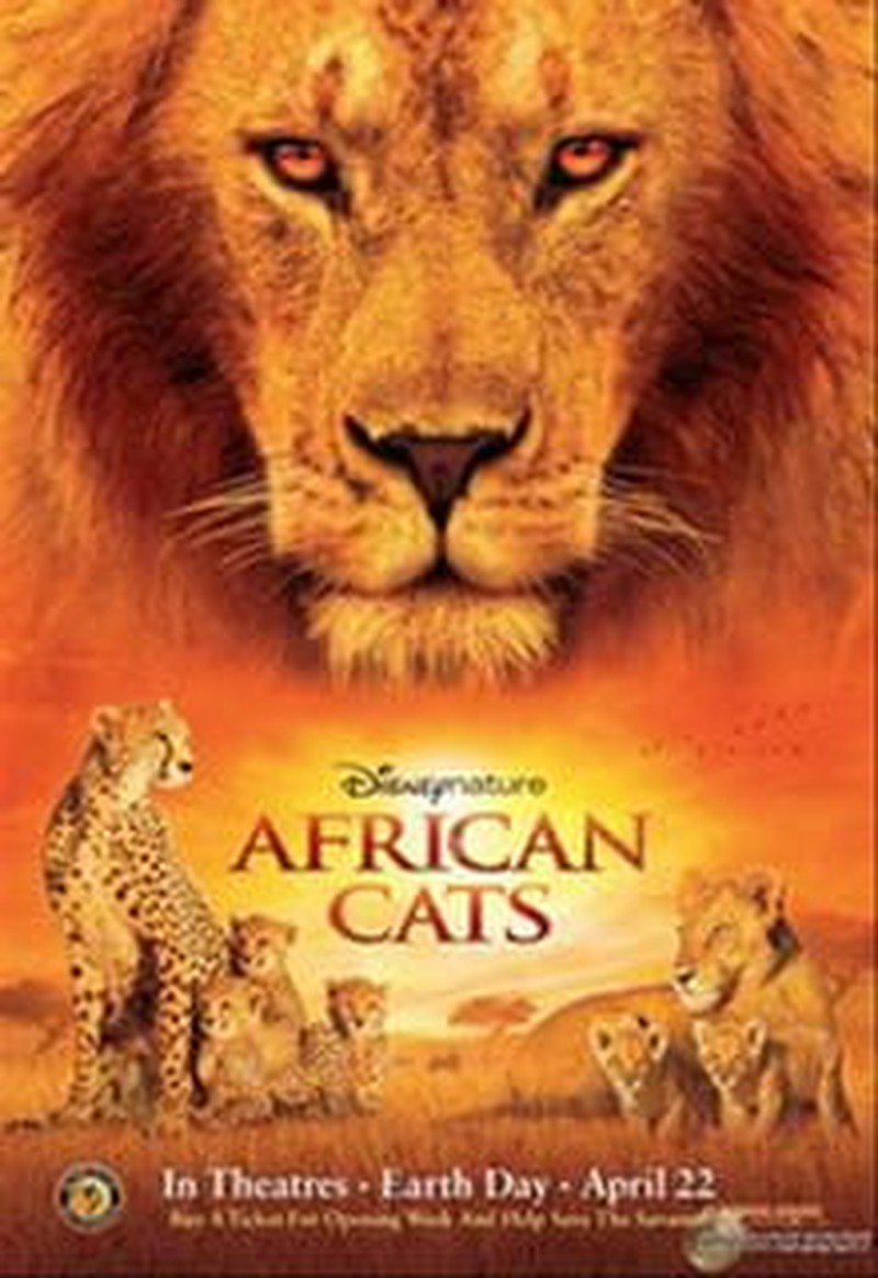 Felines Rule in Disneynature's <i>African Cats</i>