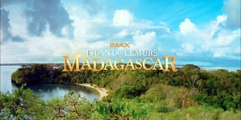 <i>Island of Lemurs: Madagascar</i> is 40 Minutes of Wide-Eyed Wonder