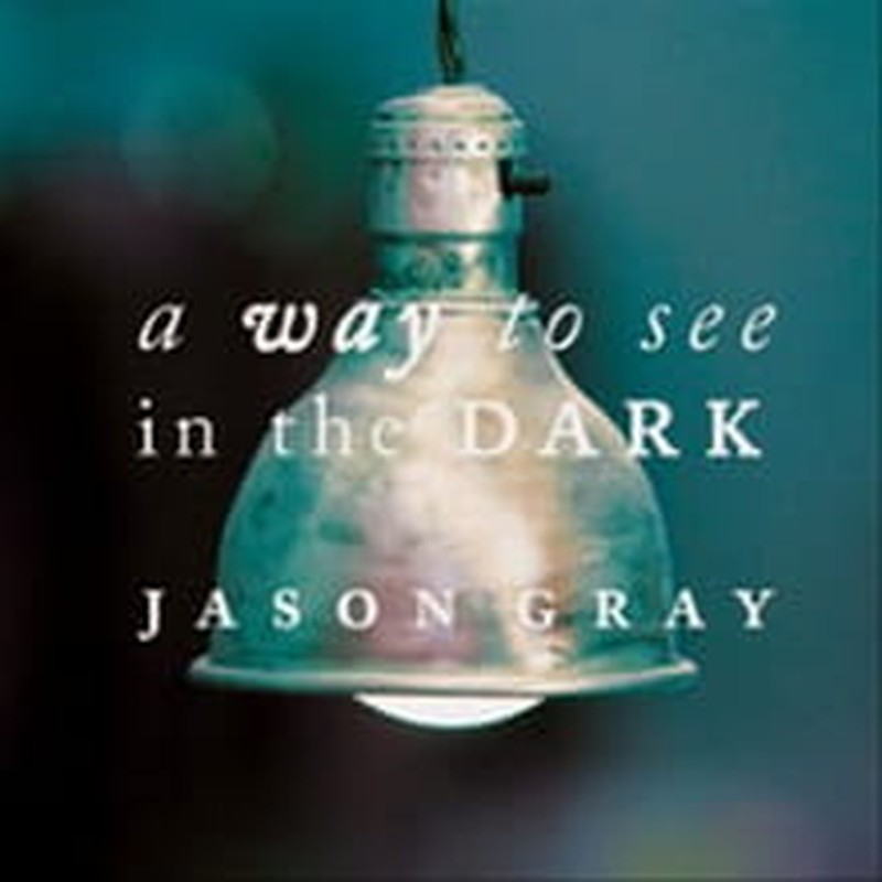 Gray Shines on <i>A Way to See in the Dark</i>