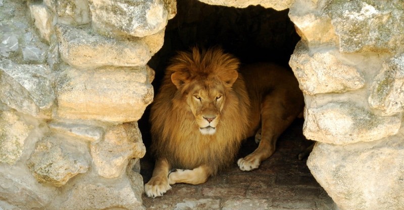 What Book In The Bible Is The Story Of Daniel In The Lion S Den