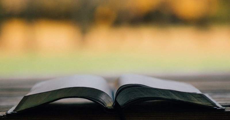 Why You Need to Read the Whole Bible Every Year