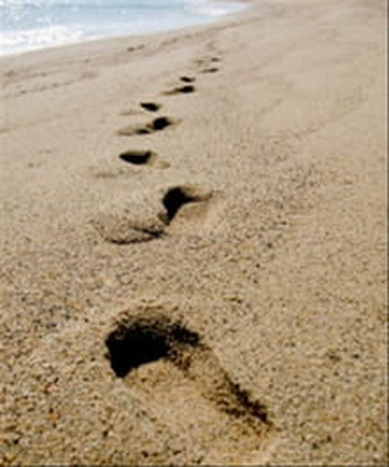 Five Simple Steps to Discover God's Plans for You