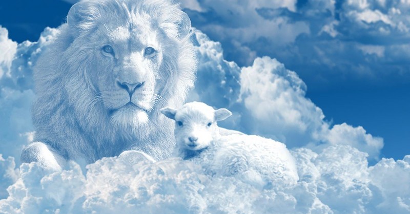 All in One: the Gentle and Fierce Nature of God and Jesus - Bible Study