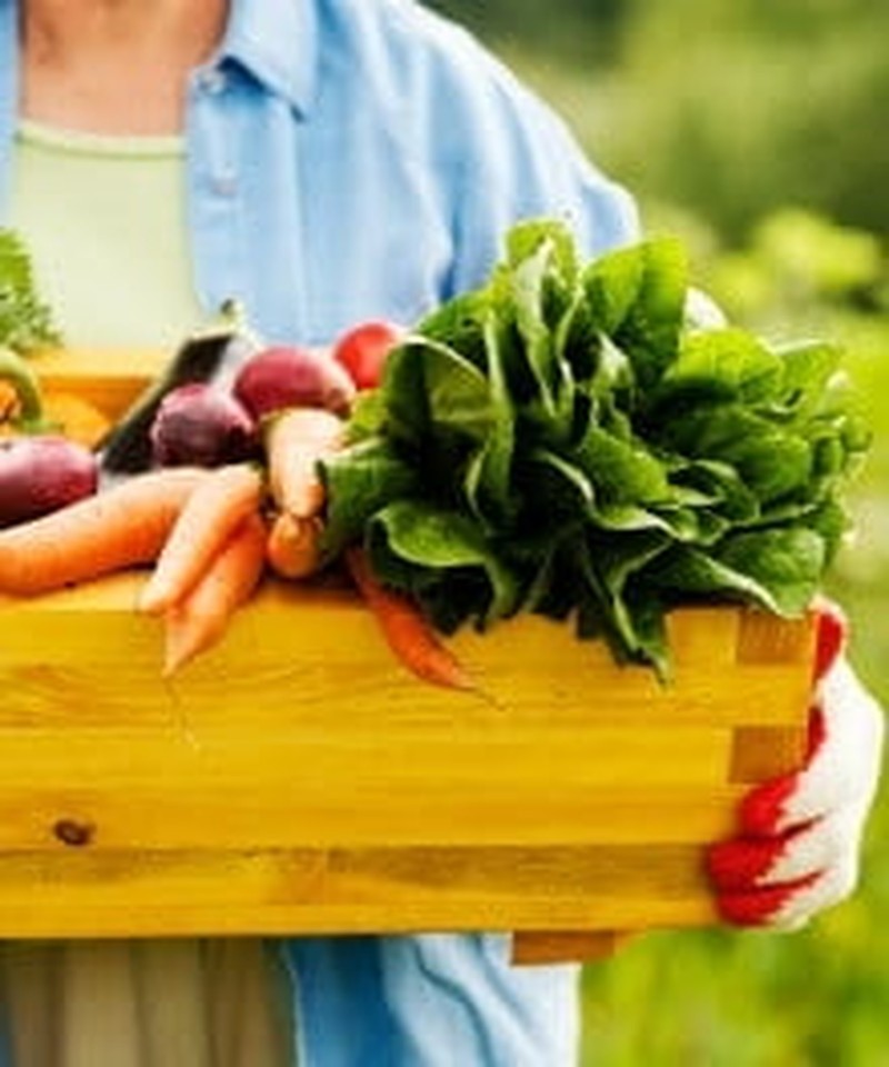 For Everything There Is a (Frugal) Season
