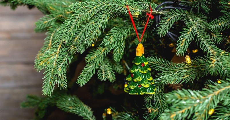 6. Take notice while decoroating the tree. 