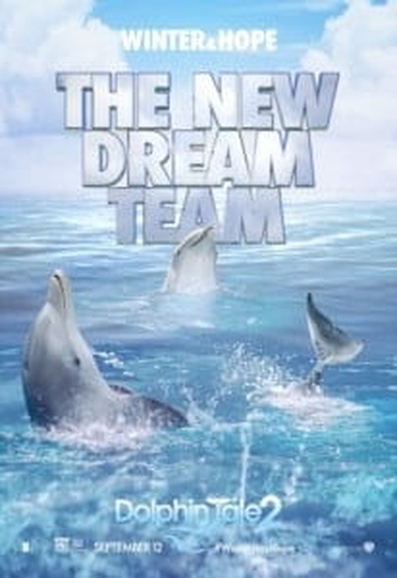 Dolphin Tale 2: The Movie That Was Meant To Be