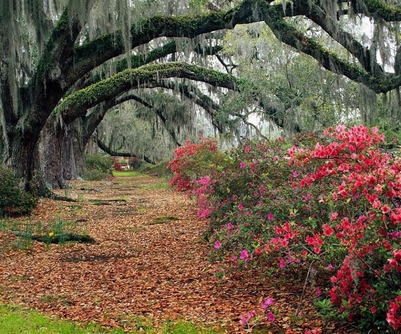 South Carolina Christian Concerts