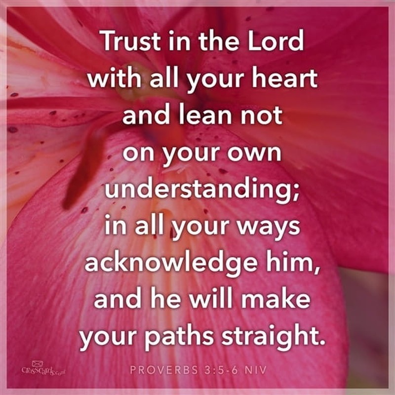 Trust In The Lord With All Your Heart