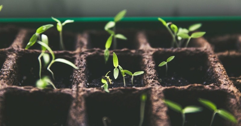 3. Gardening people celebrate the little things. 