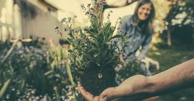 1. Gardening people are happy people. 