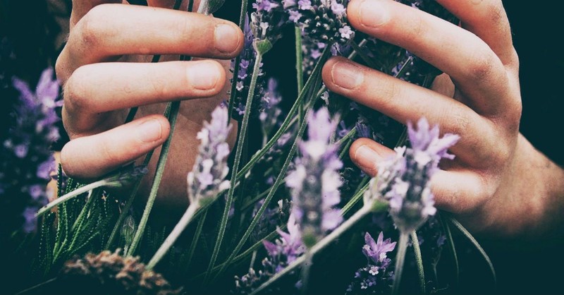 4 Reasons Why Tending a Garden is Good for Your Stressed Soul