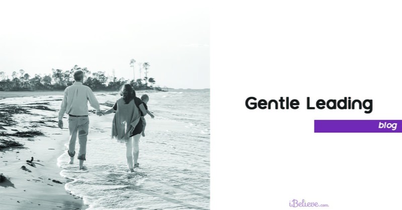 6. Gentle Leading