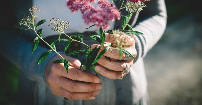 Does the cross you are bearing begin with a seed of compassion?