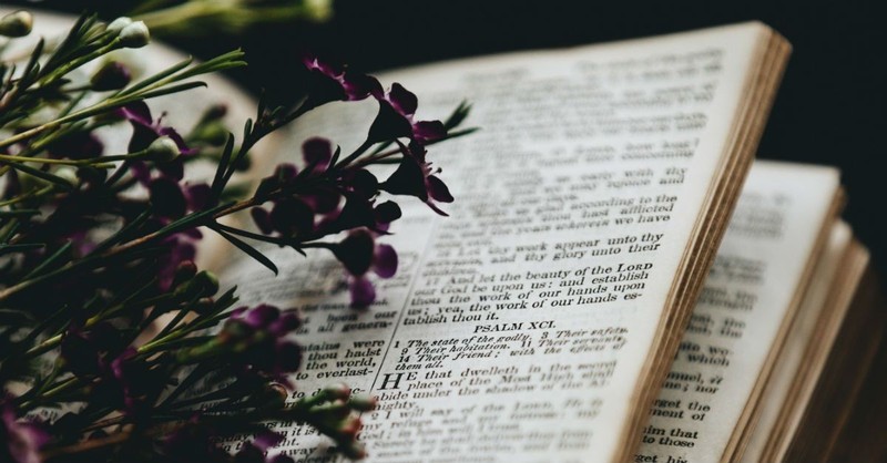 Meditation in the Bible - How to Meditate on Scripture