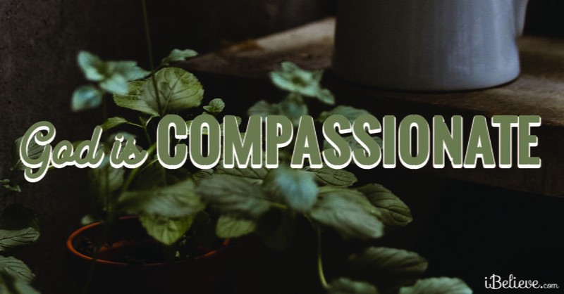 God is Compassionate
