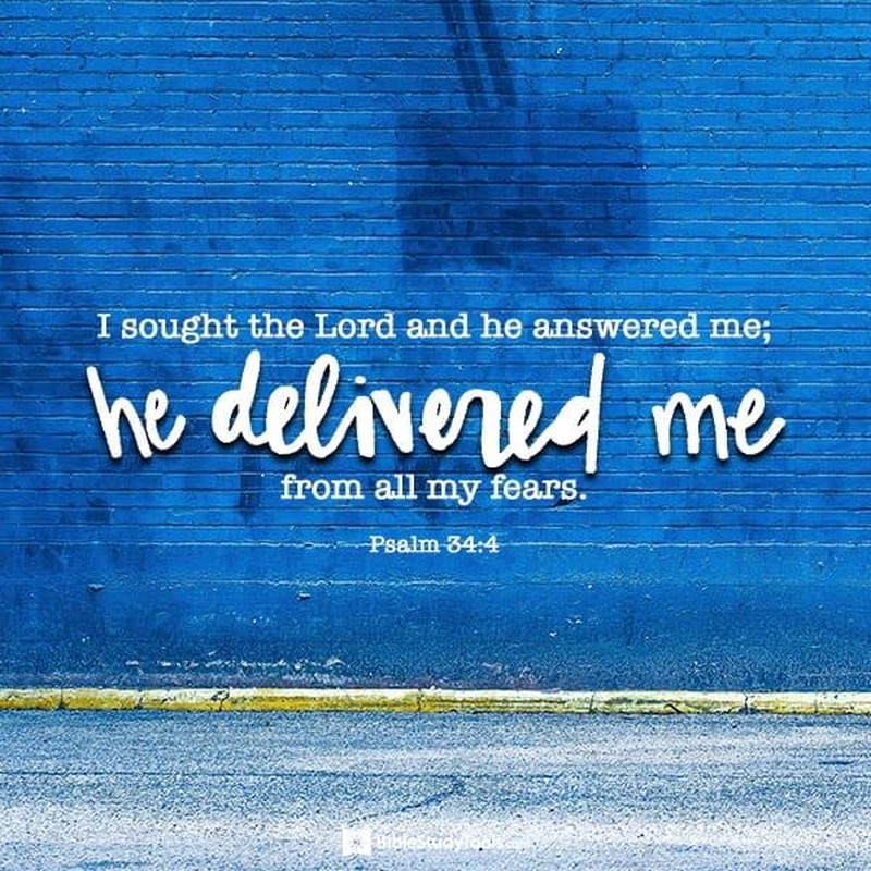 Your Daily Verse - Psalm 34:4