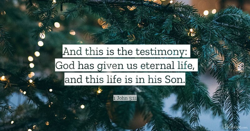 1 John 5:11