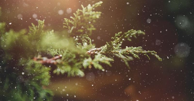 advent prayer