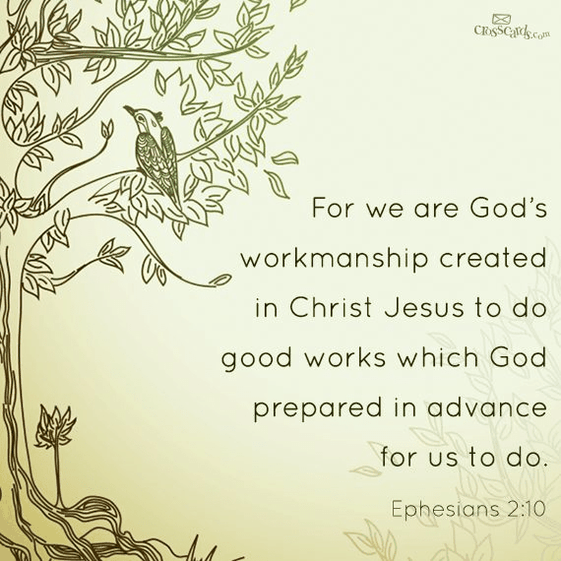 We Are God's Workmanship - Your Daily Verse