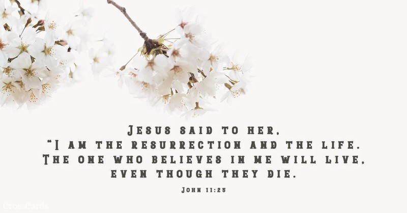 Your Daily Verse - John 11:25