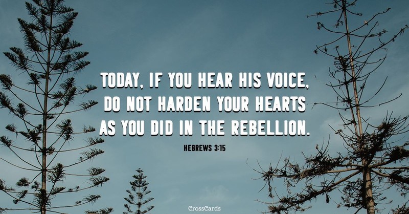 Your Daily Verse - Hebrews 3:15