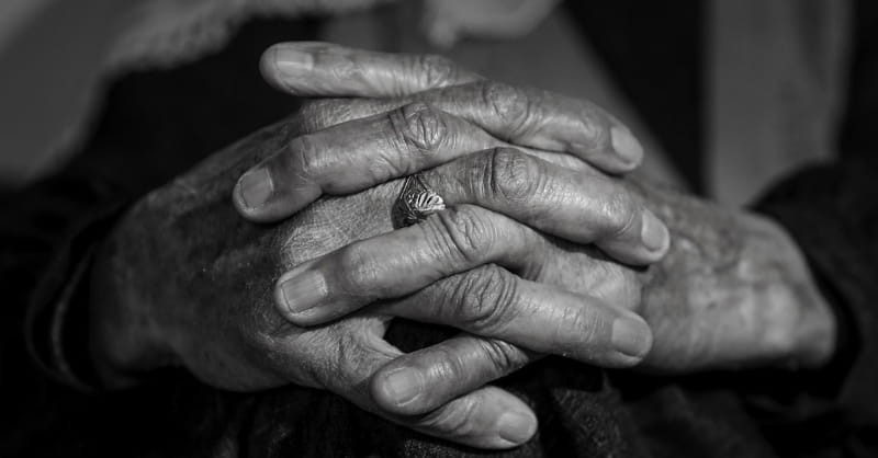 1. Visit Vets in a nursing home