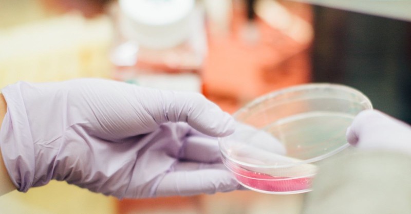 CRISPR and Faux Outrage: So Long as You Kill Them