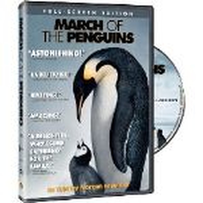 Beautiful "March of the Penguins" Undoubtedly Oscar Worthy