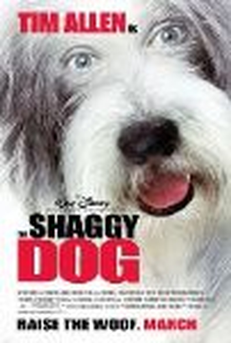 Allen Provides Some Laughs in <i>Shaggy</i> Remake