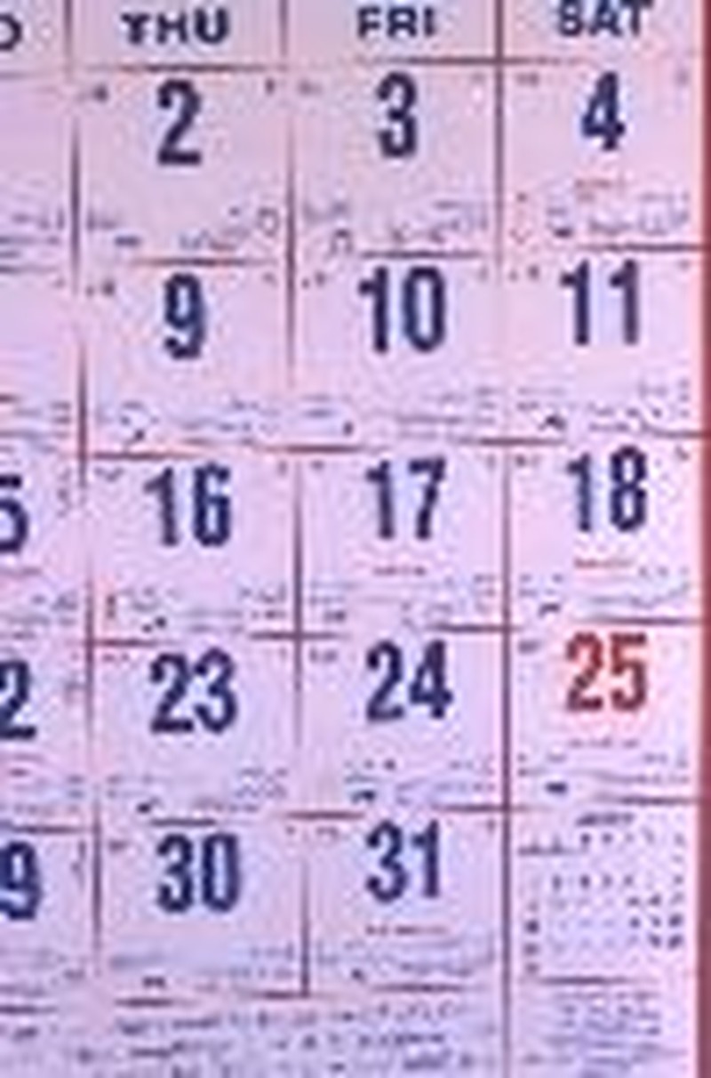 Strategic Stewardship: Bargains by the Month
