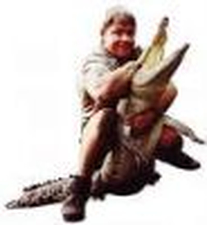 Goodbye Crocodile Hunter