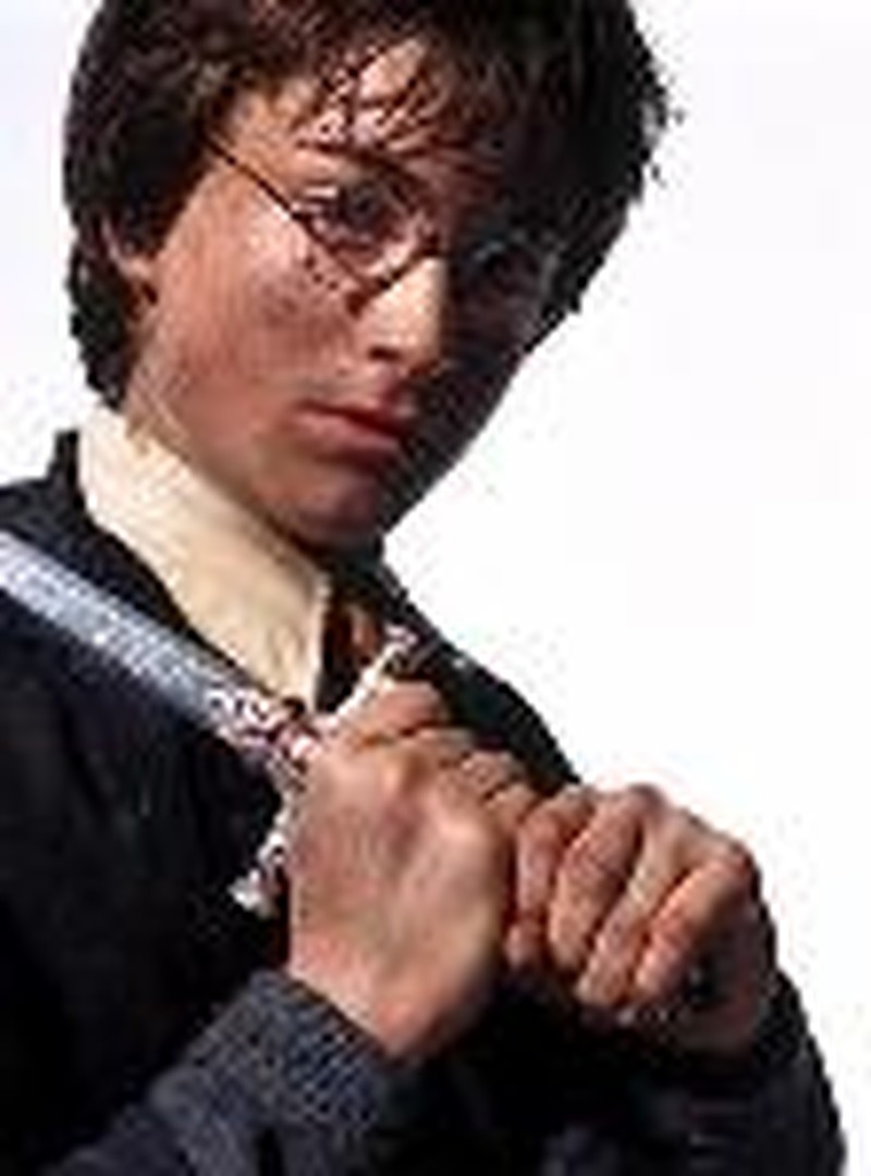 There's Something About Harry Potter