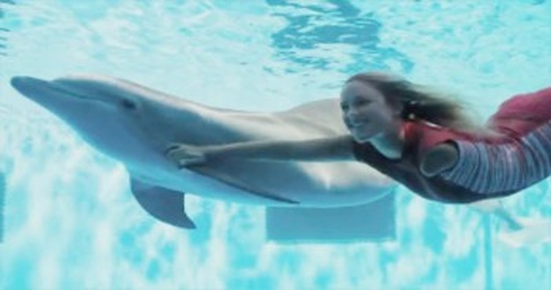 Dolphin Tale 2 - Official Trailer