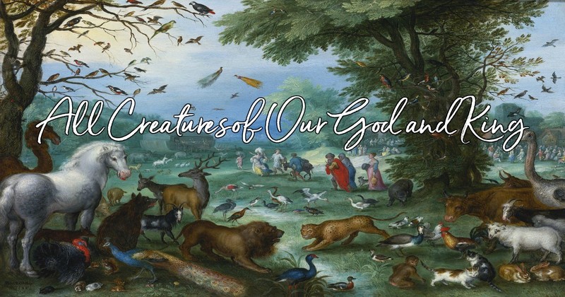 all-creatures-of-our-god-and-king-lyrics-hymn-meaning-and-story