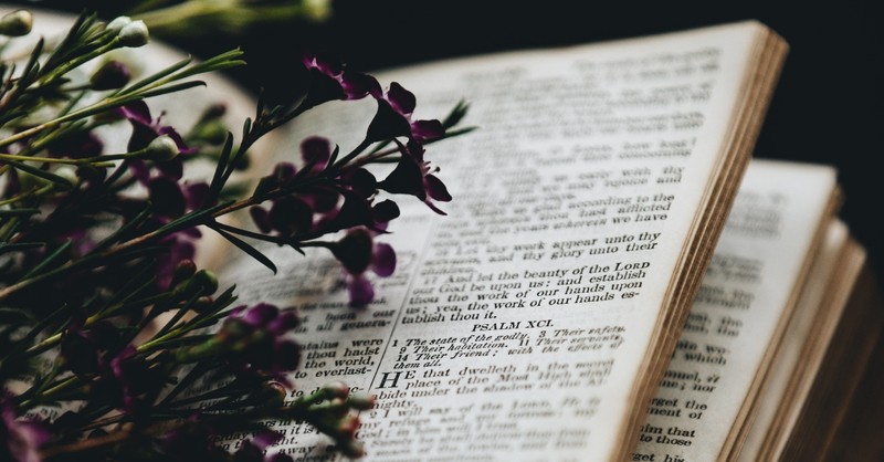 Bible open to Psalms with purple flowers resting on Bible page, psalms for healing