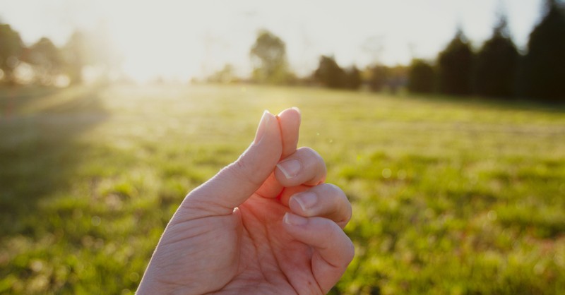 mustard seed pinched in fingers held in outdoor sunshine