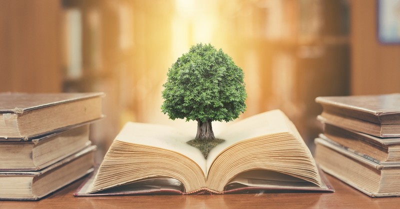Tree growing up out of an open book, god is great