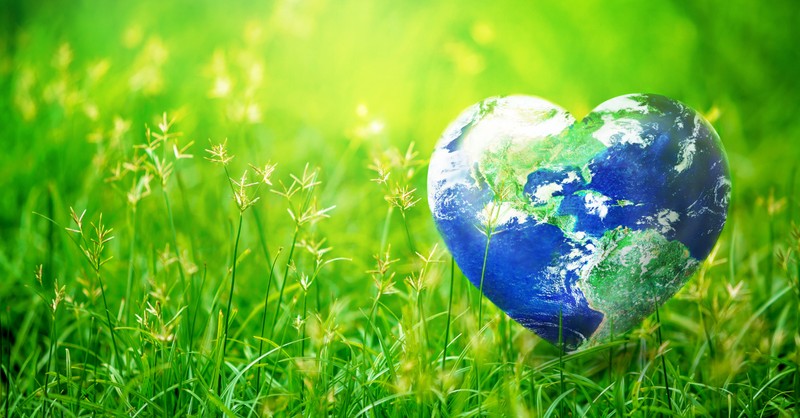 global love heart shaped globe in green grass