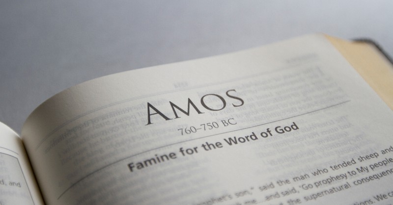 5 Reasons Why the Book of Amos Should Be the Next Book You Read