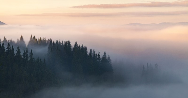 Mountains in the morning mist