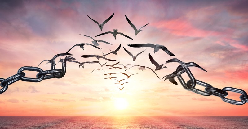 broken chains and birds flying over water sunset representing freedom