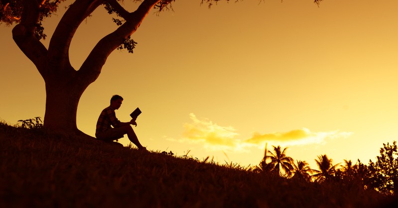 silhouette man on hillside at dusk reading bible