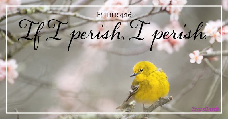 Your Daily Verse - Esther 4:16