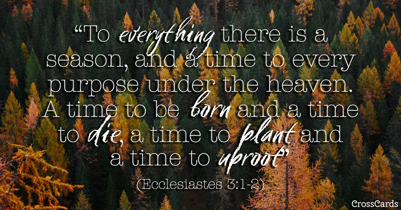 Your Daily Verse - Ecclesiastes 3:1-2
