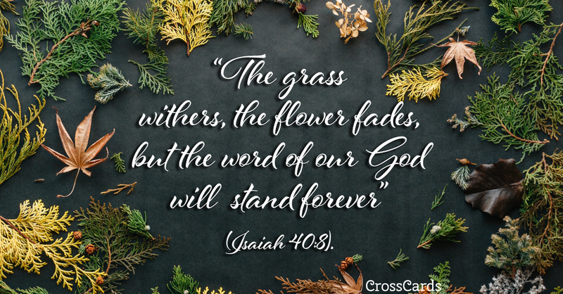 Your Daily Verse Isaiah 40 8 Your Daily Verse