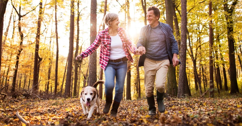 senior mature couple hiking in woods in autumn with dog