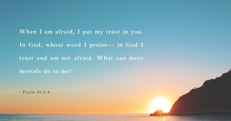 psalm 56:3-4, be patient, trust god