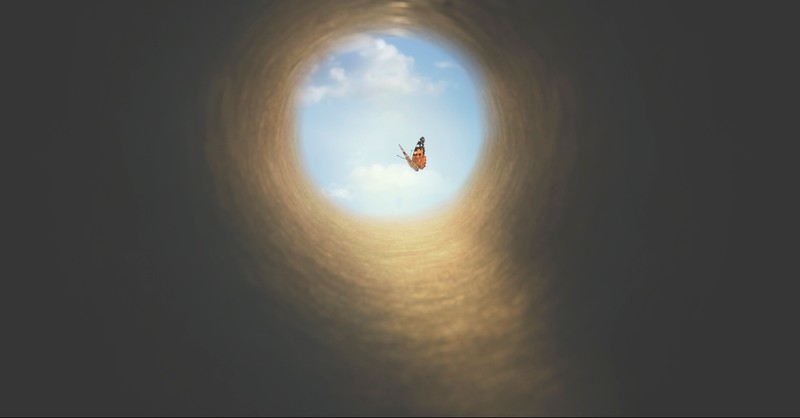 Butterfly flying from a dark hole to the bright sky