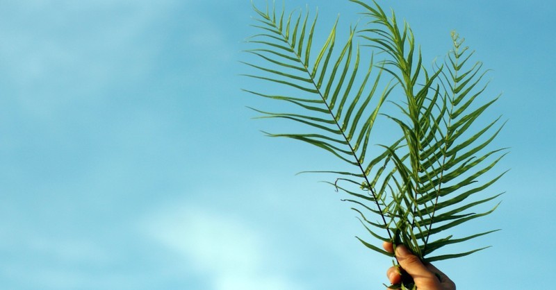 hosanna in the highest palm sunday bible verses